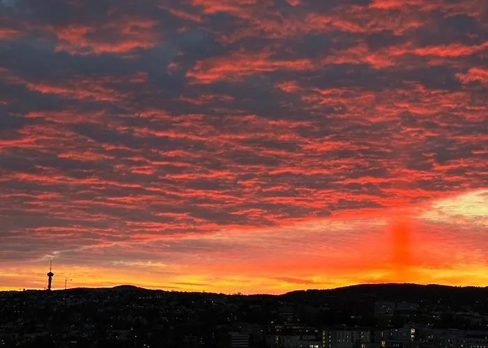 דירה Modern 3-bedroom With A View